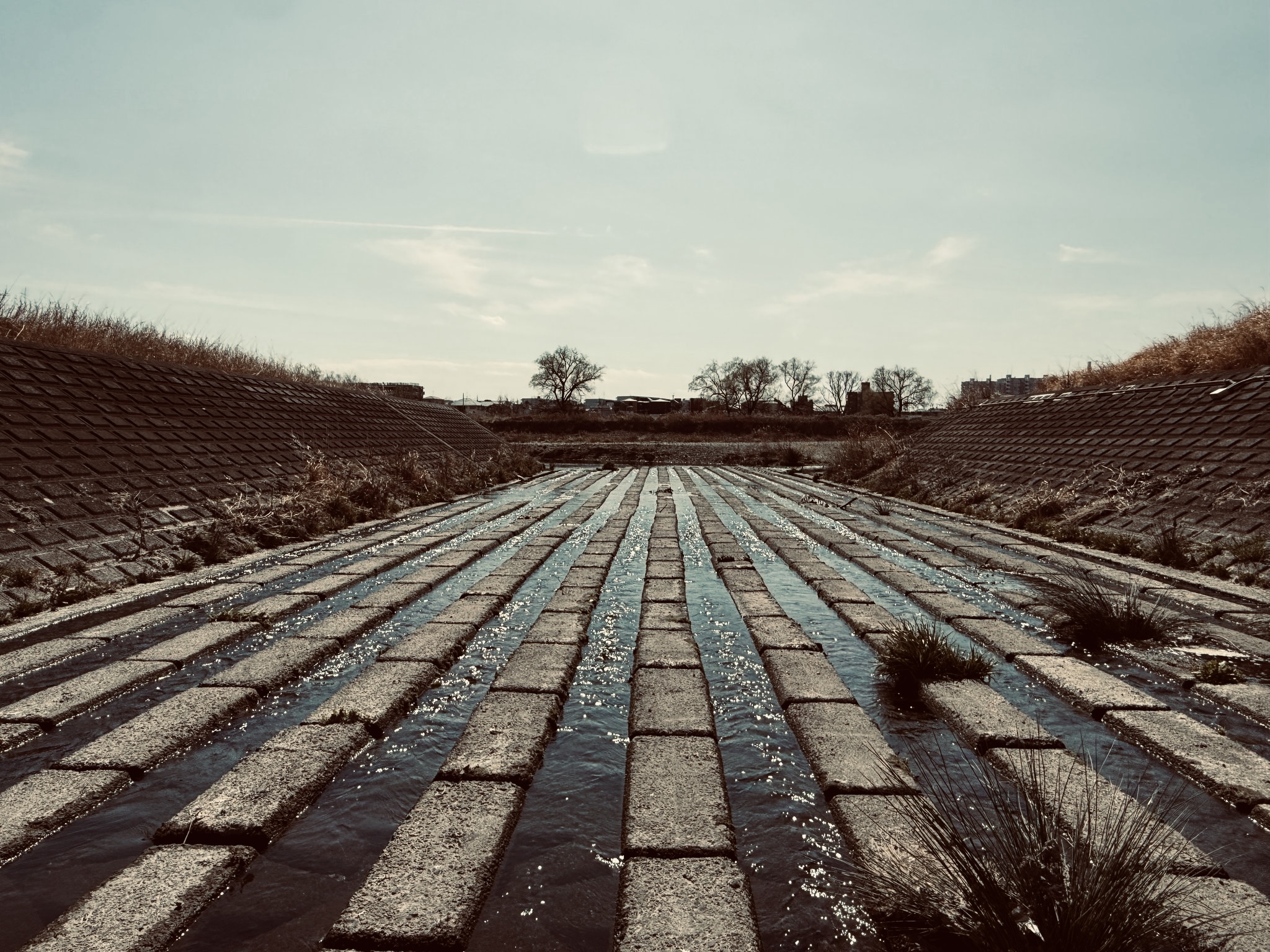 多摩川スモールマウスバス　春の一匹   /  First Smallmouth of Spring, Tama River